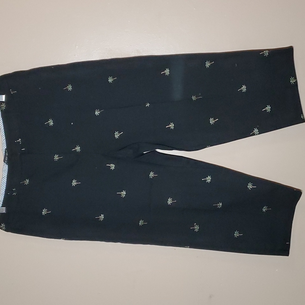 Briggs New York Cropped Pants